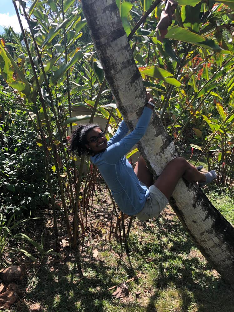 克里斯塔·费尔南多在伯利兹抓一棵树.